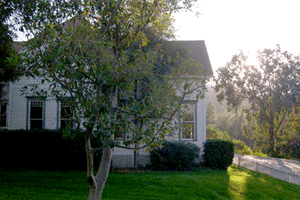 wisteria-lane-2